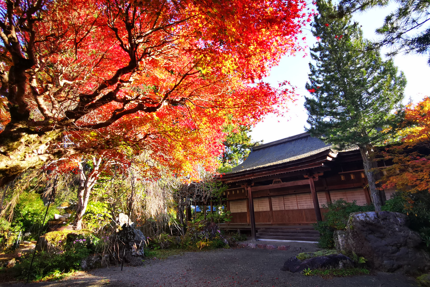高野山宿坊-大明王院