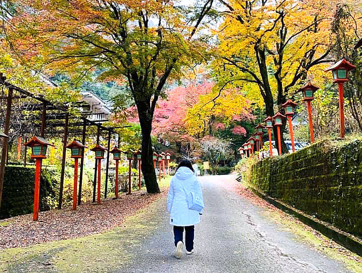 《百觀音巡拜》坂東三十三．秩父三十四．金龍山淺草寺１４日 