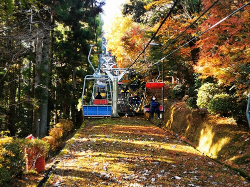 東京八王子-高尾山藥王院