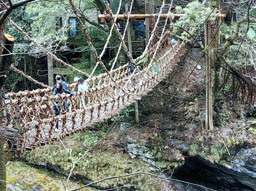 德島-祖谷藤蔓吊橋
