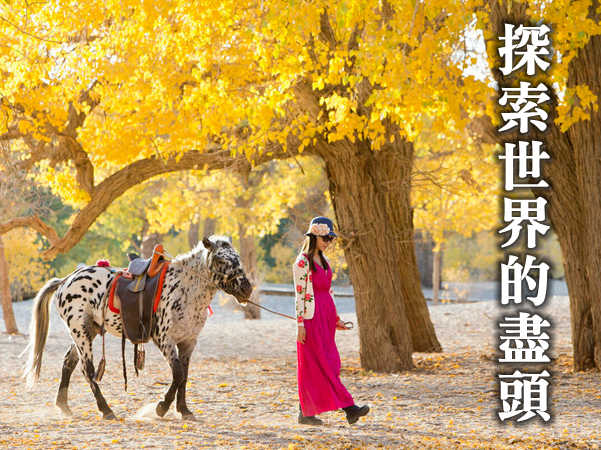 吉樂朝聖探索旅遊 Mission