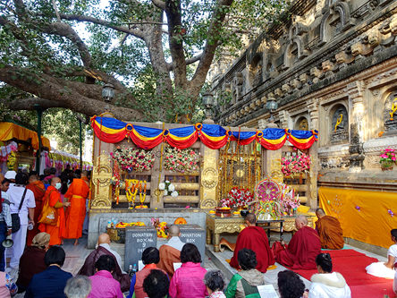 菩提迦耶 Bodh Gaya 摩訶菩提寺．正覺大塔．金剛座菩提樹．早課時間
